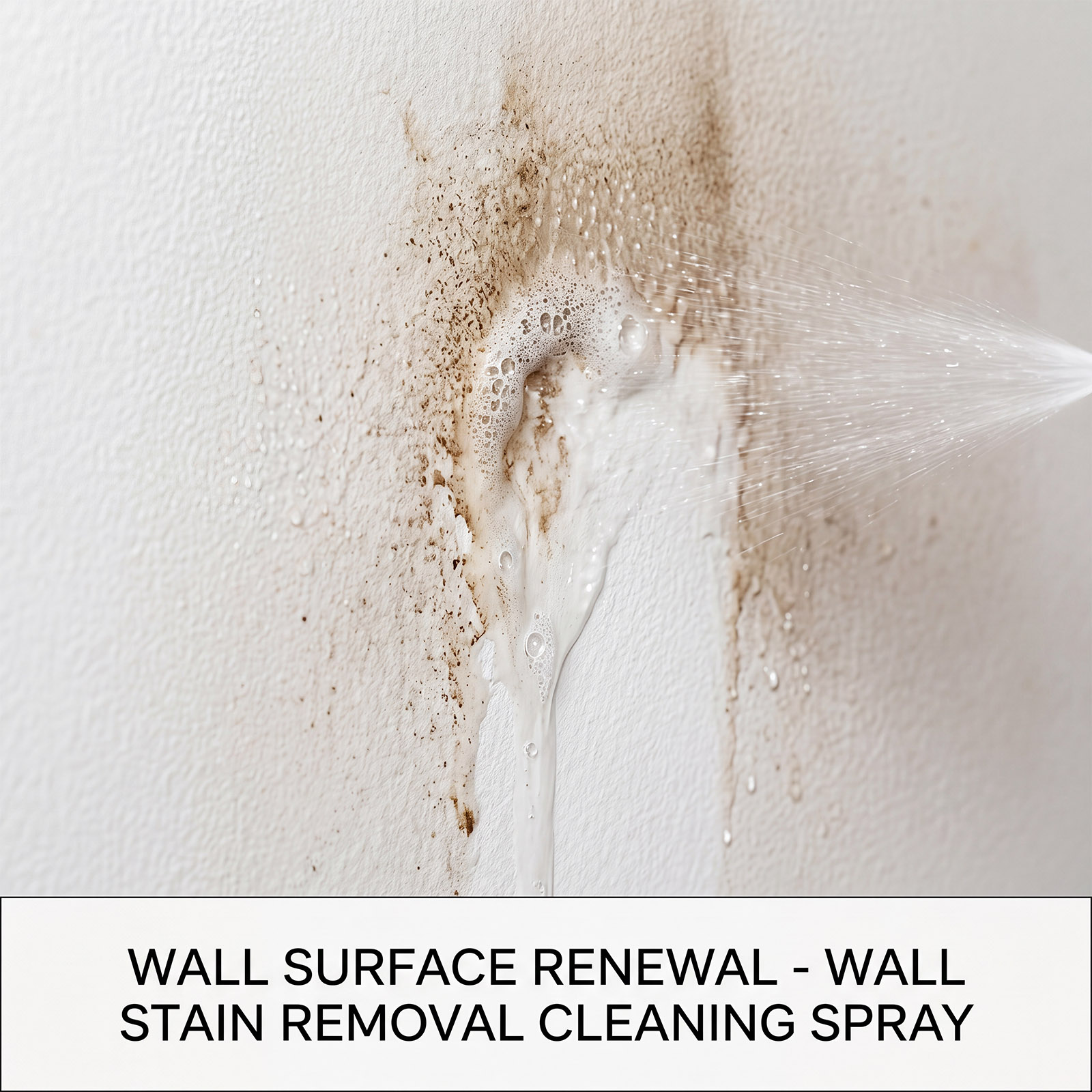 Mildew Remover Wall Spray Clea - Home Bathroom Cleaner review and price